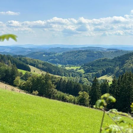 Ferienwohnung Up Willingen-Schwalefeld Willingen (Upland) Exterior foto