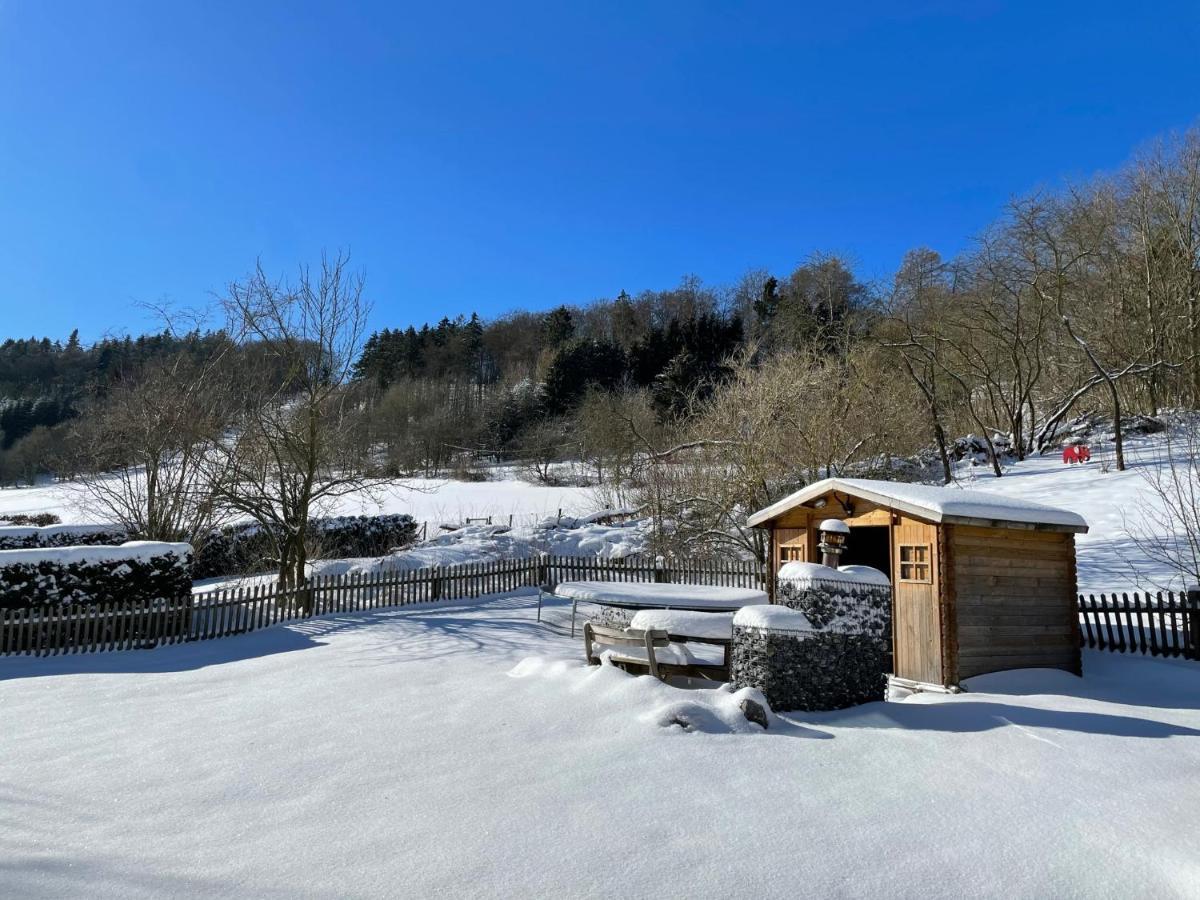 Ferienwohnung Up Willingen-Schwalefeld Willingen (Upland) Exterior foto